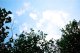 Barbecue-14 - (Sky)